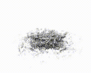 You Only Hypothesize Once':' Point Cloud Registration with Rotation-equivariant Descriptors